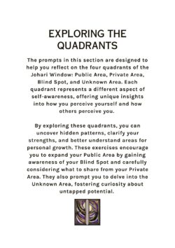 THE JAHARI WINDOW WORKBOOK - Image 4